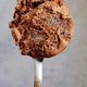 Rich Chocolate